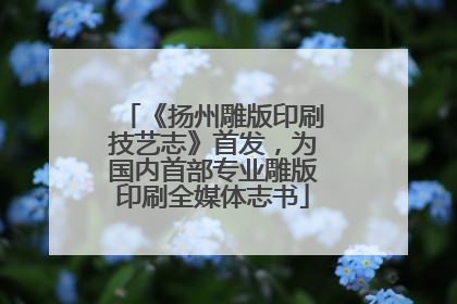 《扬州雕版印刷技艺志》首发，为国内首部专业雕版印刷全媒体志书