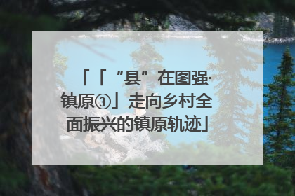 「“县”在图强·镇原③」走向乡村全面振兴的镇原轨迹