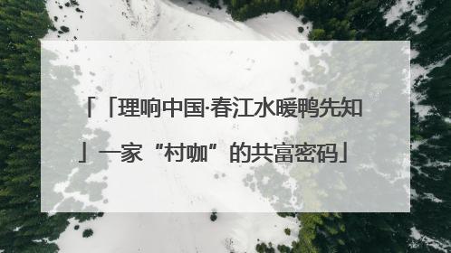 「理响中国·春江水暖鸭先知」一家“村咖”的共富密码