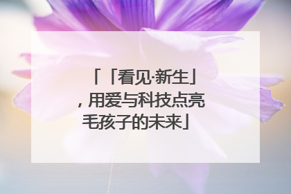 「看见·新生」，用爱与科技点亮毛孩子的未来