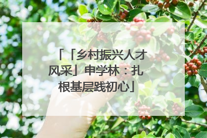 「乡村振兴人才风采」申学林：扎根基层践初心