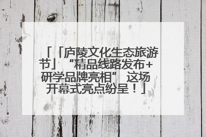「庐陵文化生态旅游节」“精品线路发布+研学品牌亮相” 这场开幕式亮点纷呈！