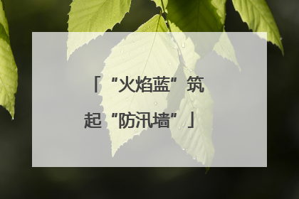 “火焰蓝”筑起“防汛墙”