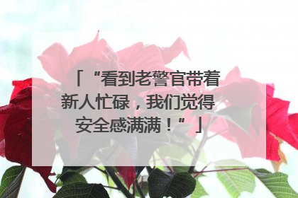 “看到老警官带着新人忙碌，我们觉得安全感满满！”