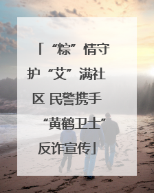 “粽”情守护“艾”满社区 民警携手“黄鹤卫士”反诈宣传