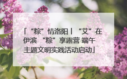 “粽”情洛阳丨“艾”在伊滨 “粽”享露营 端午主题文明实践活动启动