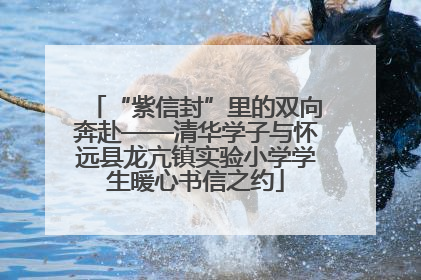 “紫信封”里的双向奔赴——清华学子与怀远县龙亢镇实验小学学生暖心书信之约