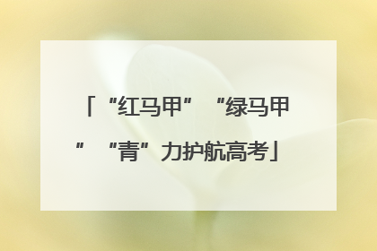 “红马甲”“绿马甲”“青”力护航高考