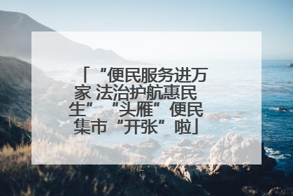 “便民服务进万家 法治护航惠民生”“头雁”便民集市“开张”啦
