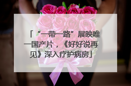 “一带一路”展映唯一国产片，《好好说再见》深入疗护病房