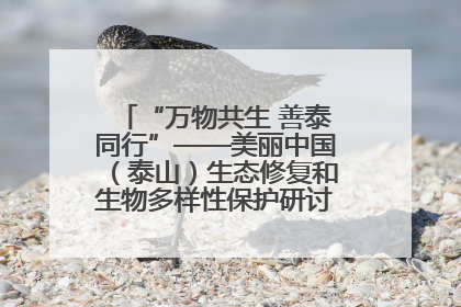 “万物共生 善泰同行”——美丽中国（泰山）生态修复和生物多样性保护研讨会成功举办