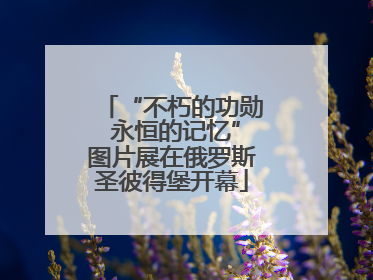 “不朽的功勋 永恒的记忆”图片展在俄罗斯圣彼得堡开幕