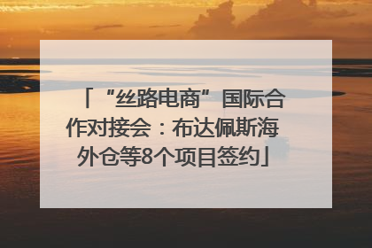“丝路电商”国际合作对接会：布达佩斯海外仓等8个项目签约