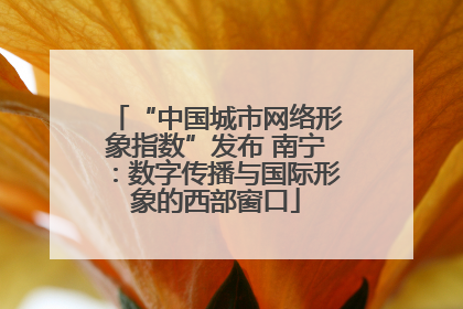 “中国城市网络形象指数”发布 南宁：数字传播与国际形象的西部窗口