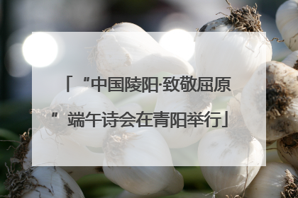 “中国陵阳·致敬屈原”端午诗会在青阳举行