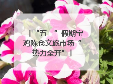 “五一”假期宝鸡陈仓文旅市场“热力全开”