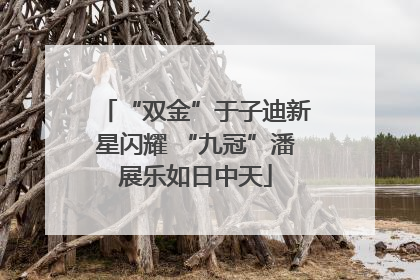 “双金”于子迪新星闪耀 “九冠”潘展乐如日中天