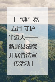 “典”亮五月 守护半边天——新野县法院开展普法宣传活动