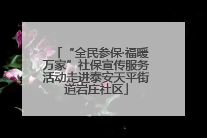 “全民参保·福暖万家”社保宣传服务活动走进泰安天平街道岩庄社区