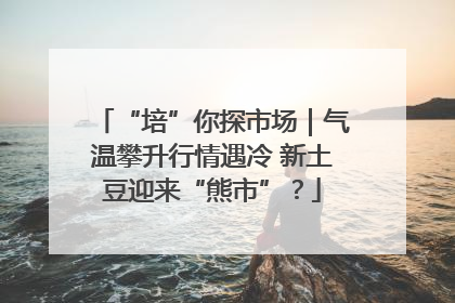 “培”你探市场｜气温攀升行情遇冷 新土豆迎来“熊市”？