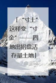 “寸土”这样变“寸金”——四地出招盘活存量土地