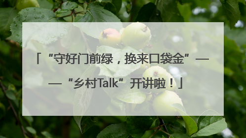 “守好门前绿，换来口袋金”——“乡村Talk”开讲啦！