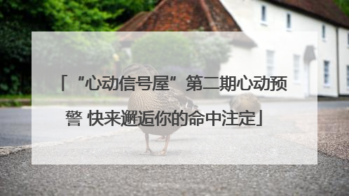 “心动信号屋”第二期心动预警 快来邂逅你的命中注定