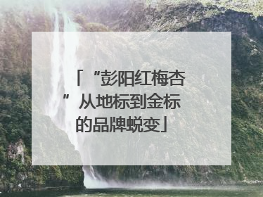 “彭阳红梅杏”从地标到金标的品牌蜕变