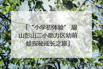 “小学初体验” 眉山彭山二小助力区幼萌娃探秘成长之旅