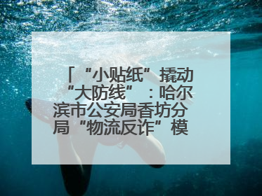 “小贴纸”撬动“大防线”：哈尔滨市公安局香坊分局“物流反诈”模式守护群众“钱袋子”