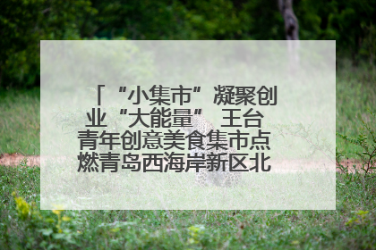 “小集市”凝聚创业“大能量” 王台青年创意美食集市点燃青岛西海岸新区北部新城夜经济