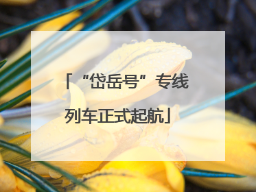 “岱岳号”专线列车正式起航