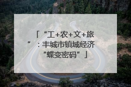 “工+农+文+旅”：丰城市镇域经济“蝶变密码”
