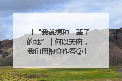 “我就想种一辈子的地”｜何以天府，我们用粮食作答②