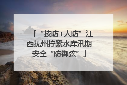 “技防+人防”江西抚州拧紧水库汛期安全“防御弦”