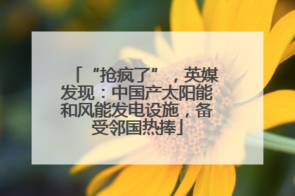 “抢疯了”，英媒发现：中国产太阳能和风能发电设施，备受邻国热捧