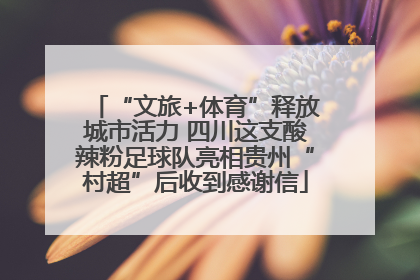 “文旅+体育”释放城市活力 四川这支酸辣粉足球队亮相贵州“村超”后收到感谢信
