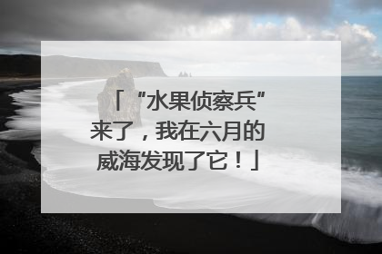 “水果侦察兵”来了，我在六月的威海发现了它！