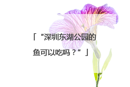 “深圳东湖公园的鱼可以吃吗？”