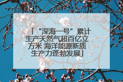 “深海一号”累计生产天然气超百亿立方米 海洋能源新质生产力蓬勃发展