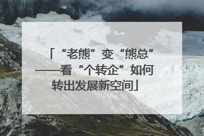 “老熊”变“熊总”——看“个转企”如何转出发展新空间