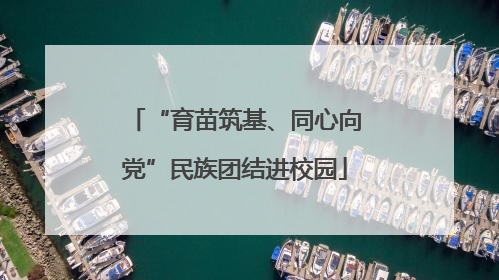 “育苗筑基、同心向党”民族团结进校园