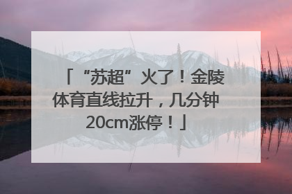 “苏超”火了！金陵体育直线拉升，几分钟20cm涨停！
