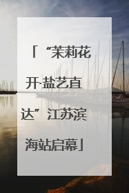 “茉莉花开·盐艺直达”江苏滨海站启幕