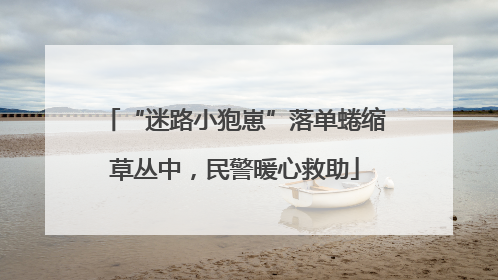 “迷路小狍崽”落单蜷缩草丛中，民警暖心救助