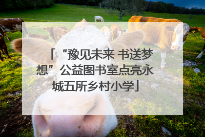 “豫见未来 书送梦想”公益图书室点亮永城五所乡村小学