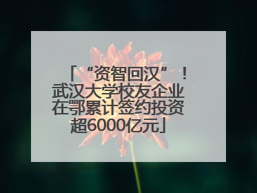 “资智回汉”！武汉大学校友企业在鄂累计签约投资超6000亿元
