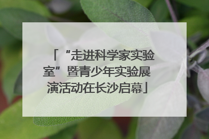 “走进科学家实验室”暨青少年实验展演活动在长沙启幕