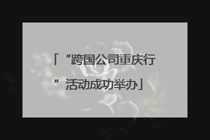 “跨国公司重庆行”活动成功举办
