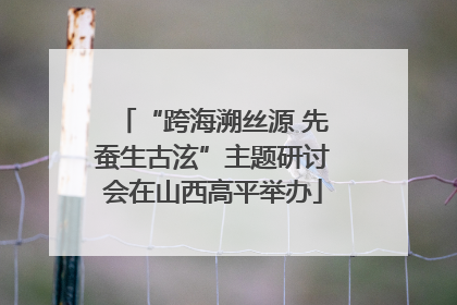 “跨海溯丝源 先蚕生古泫”主题研讨会在山西高平举办